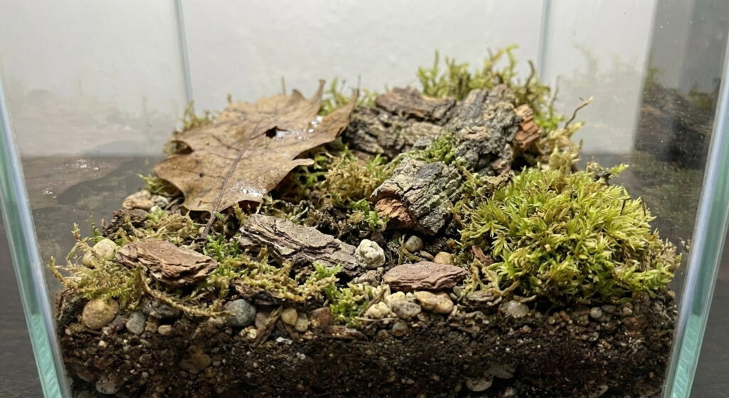 habitat of an isopod as a pet