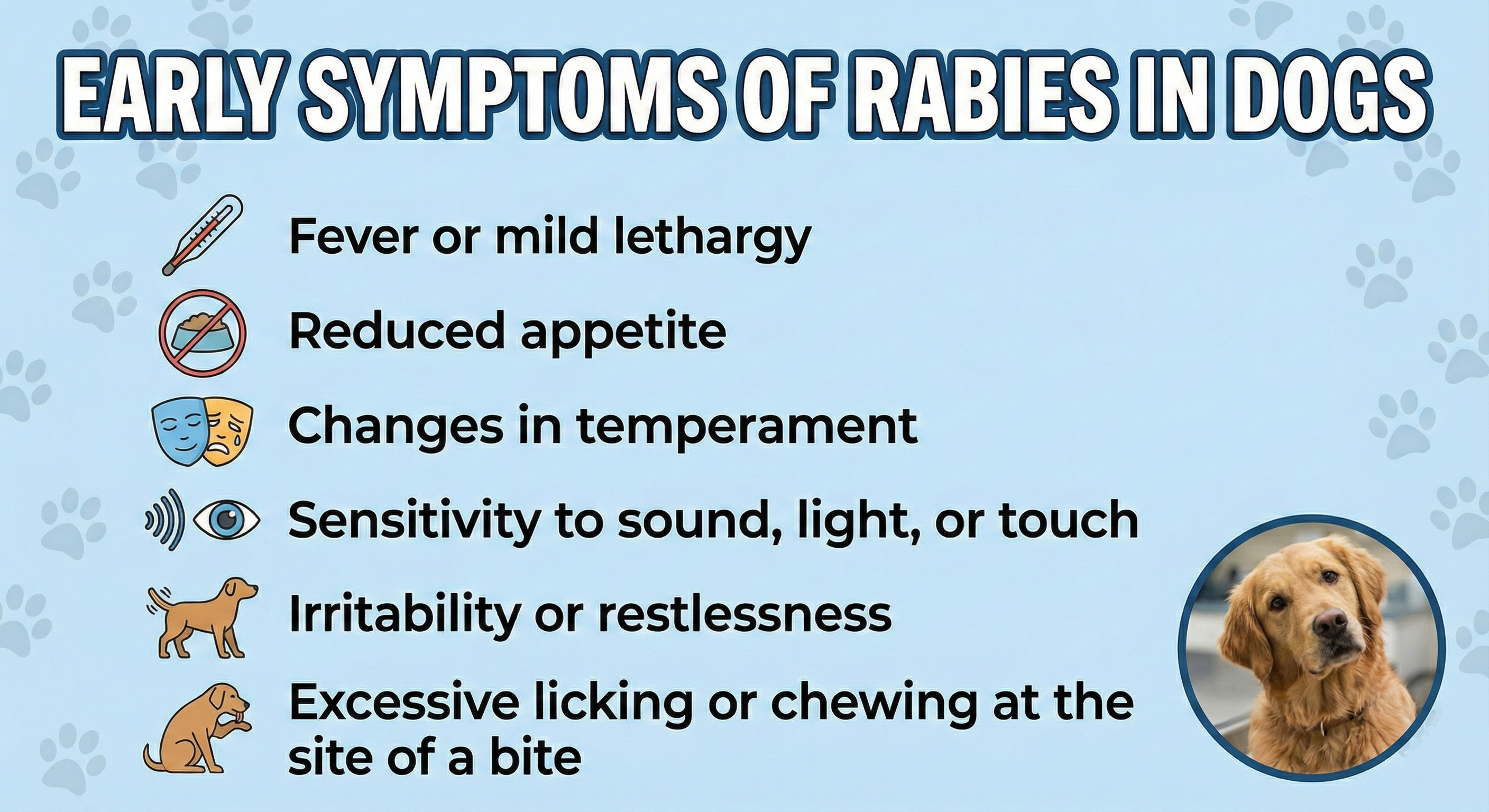 rabies vaccine for dogs